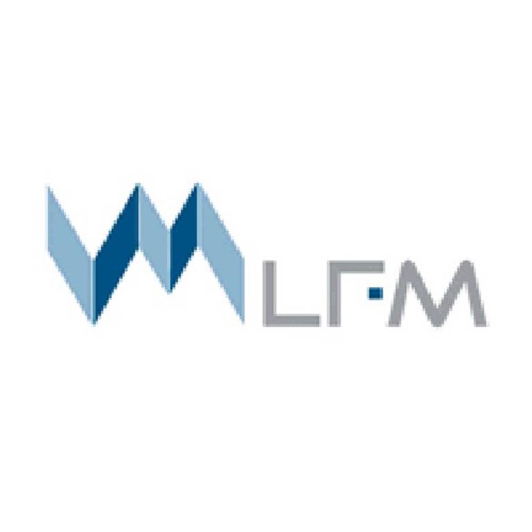 FUROSEMIDE L.F.M.*30CPR 25MG